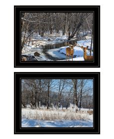 "Great Outdoors-Nature/Winter Forest" 2-Piece Vignette by Trendy Decor 4U, Ready to Hang Framed Print, Black Frame
